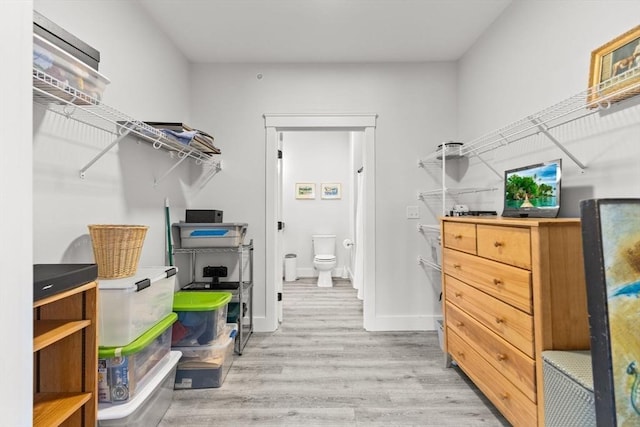 walk in closet featuring light hardwood / wood-style flooring