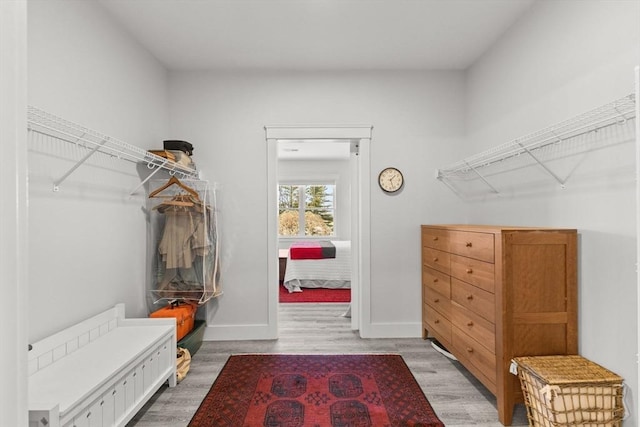 walk in closet with wood-type flooring