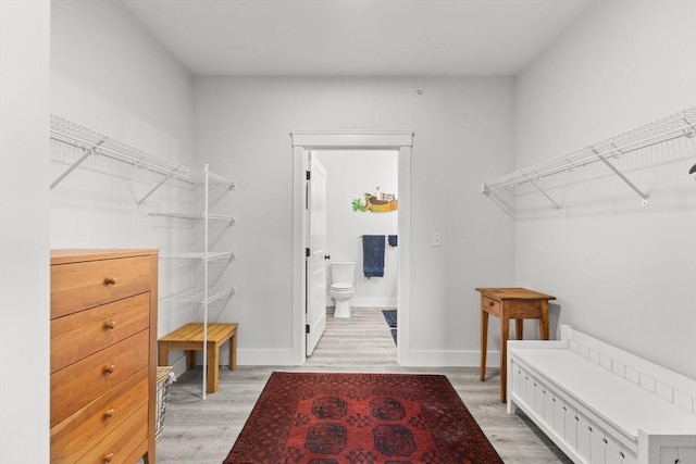 walk in closet featuring light hardwood / wood-style flooring