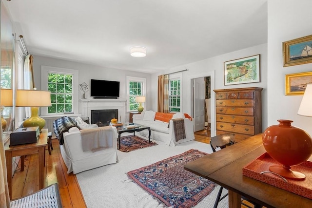 163/165 Highland St, Dedham, MA 02026 - living room featuring a fireplace and wood-type flooring