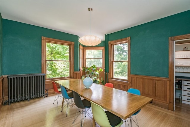 75 Lyman Rd, Northampton, MA 01060 - dining space with radiator, plenty of natural light, wainscoting, and light wood-type flooring