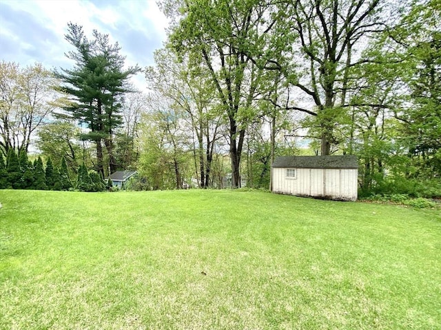 view of grassy yard featuring a storage unit and an outbuilding