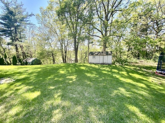 view of green lawn with a storage unit, a trampoline, and an outbuilding
