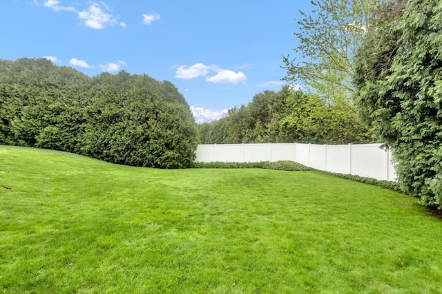 view of yard
