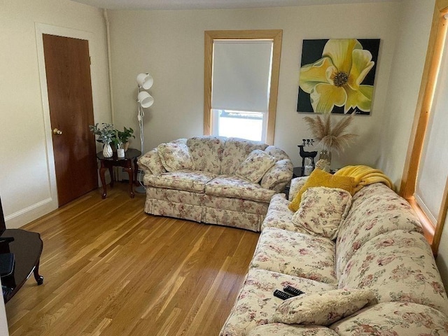 living room with light wood-style flooring