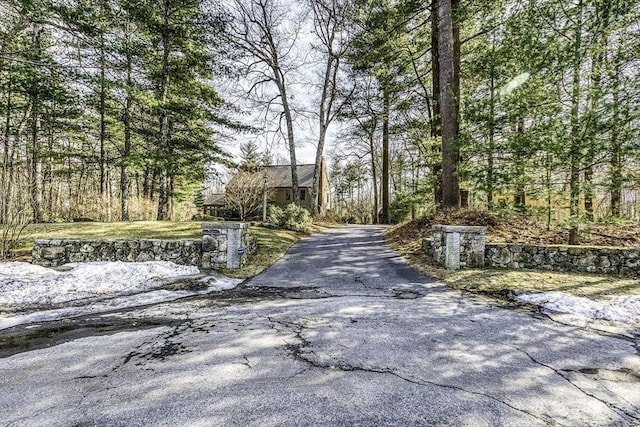 view of street featuring driveway