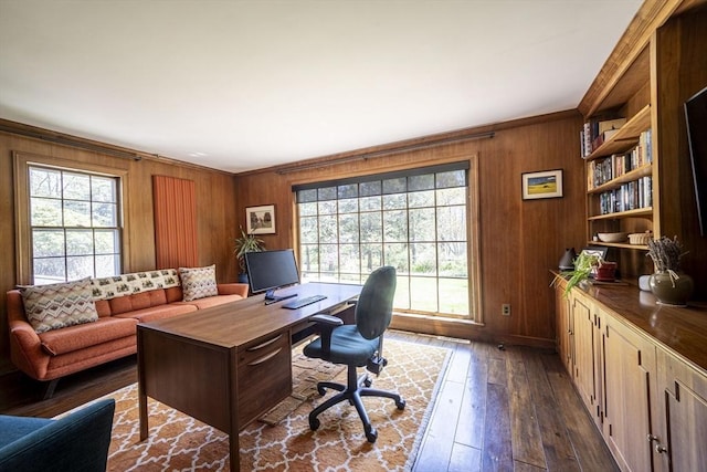 office space with wooden walls, dark wood-style flooring, crown molding, and baseboards