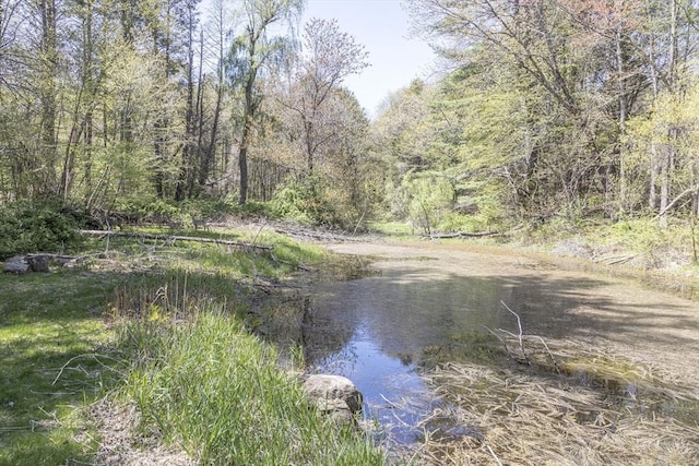 water view featuring a heavily wooded area