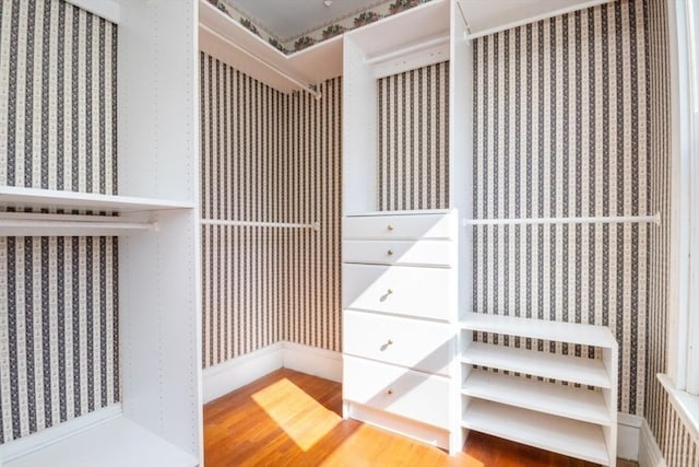 walk in closet featuring wood finished floors