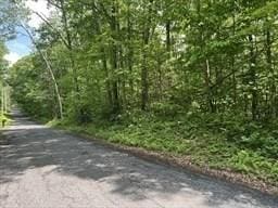 LOT18 Ayers Rd, Monson MA, 01057 land for sale