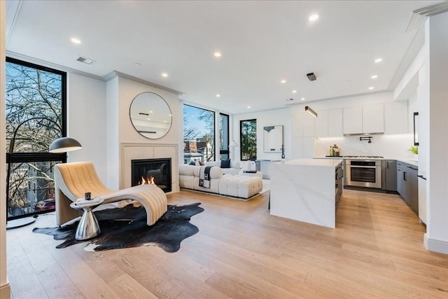 living room with expansive windows and light hardwood / wood-style flooring