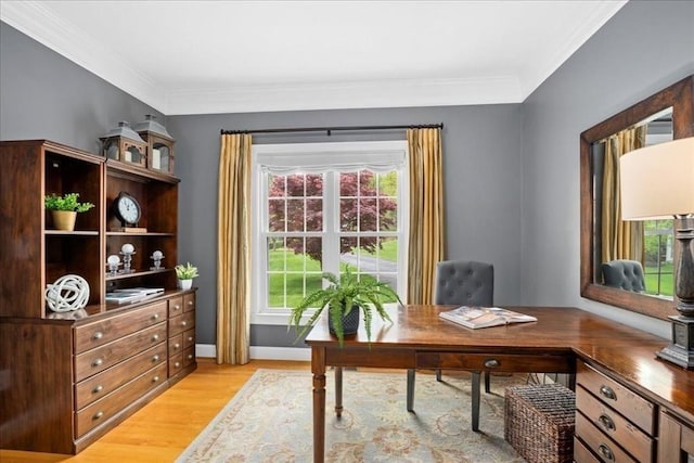 17 Fiddleneck Ln, Southborough, MA 01772 - home office with light wood-style flooring, crown molding, and baseboards