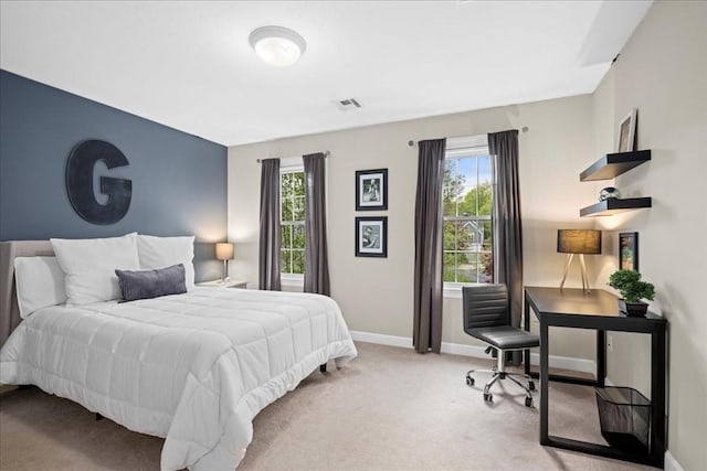 17 Fiddleneck Ln, Southborough, MA 01772 - bedroom with baseboards and carpet floors