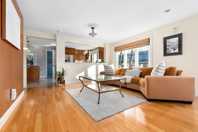 living room featuring light hardwood / wood-style flooring