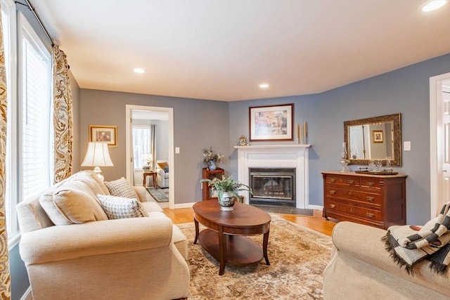 living room featuring light hardwood / wood-style floors