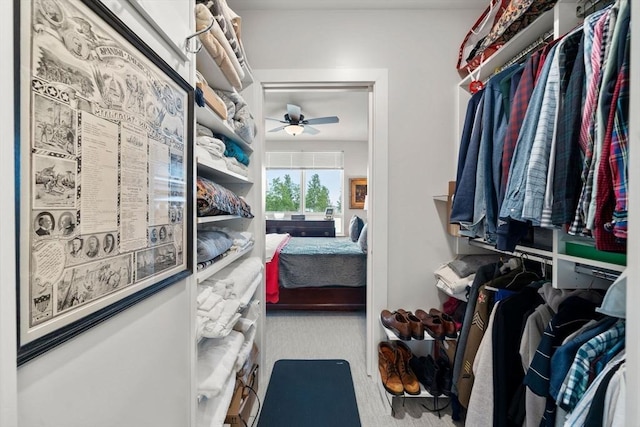 130 Broad Reach Unit 302, Weymouth, MA 02191 - walk in closet with a ceiling fan and carpet flooring