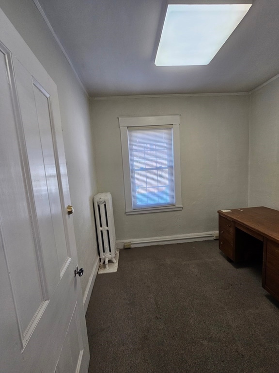 carpeted empty room with radiator and ornamental molding