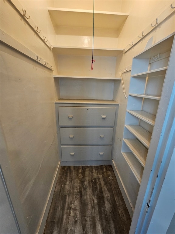 spacious closet with dark hardwood / wood-style floors