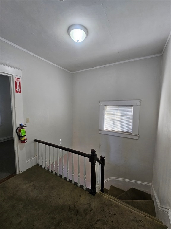 staircase with crown molding and carpet floors