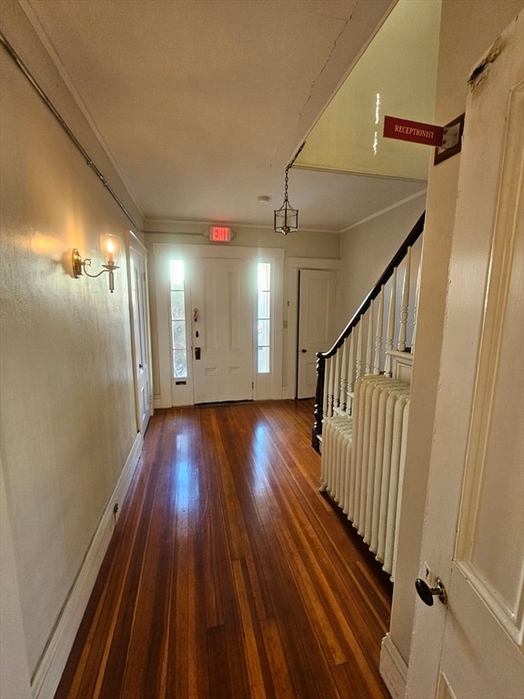 foyer entrance with dark hardwood / wood-style flooring