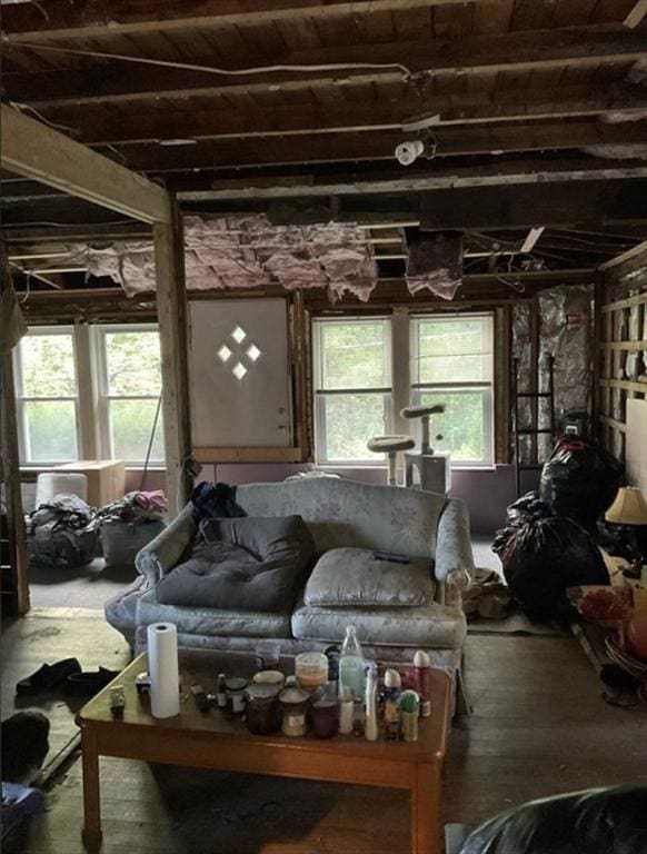 living room featuring wood finished floors