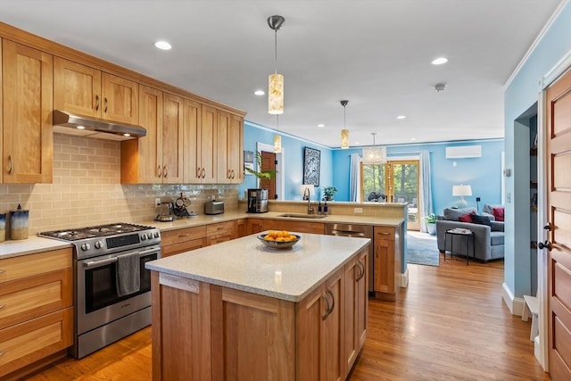 18 Hill St, Lexington, MA 02421 - kitchen featuring appliances with stainless steel finishes, under cabinet range hood, a sink, a peninsula, and tasteful backsplash