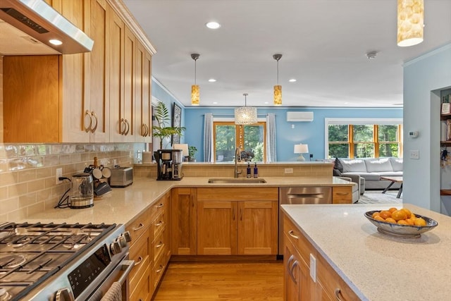 18 Hill St, Lexington, MA 02421 - kitchen with gas range, a sink, light stone countertops, light wood-style flooring, and recessed lighting