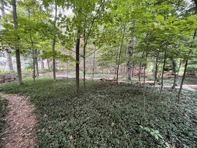 18 Hill St, Lexington, MA 02421 - view of yard