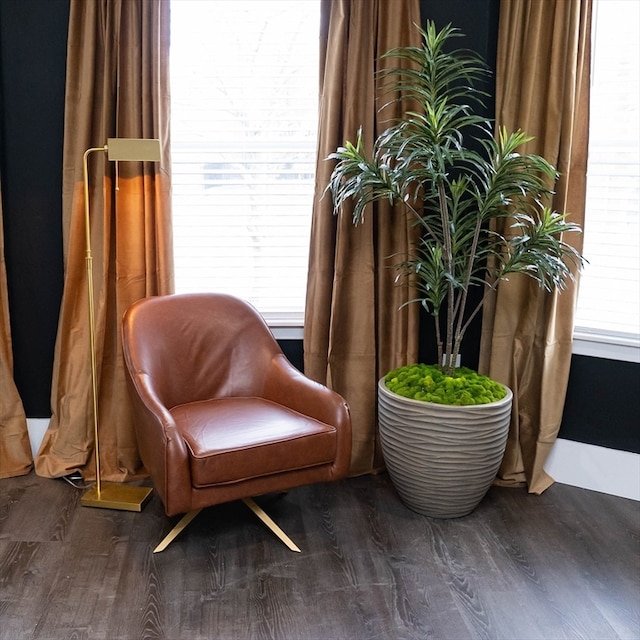 living area featuring dark wood-type flooring