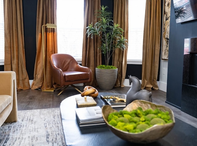 sitting room featuring a wealth of natural light and wood-type flooring