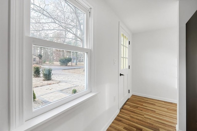 interior space featuring hardwood / wood-style flooring