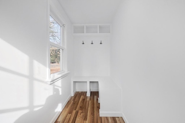 mudroom featuring hardwood / wood-style floors and a healthy amount of sunlight