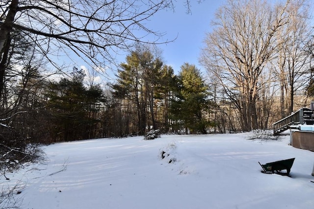 view of snowy yard