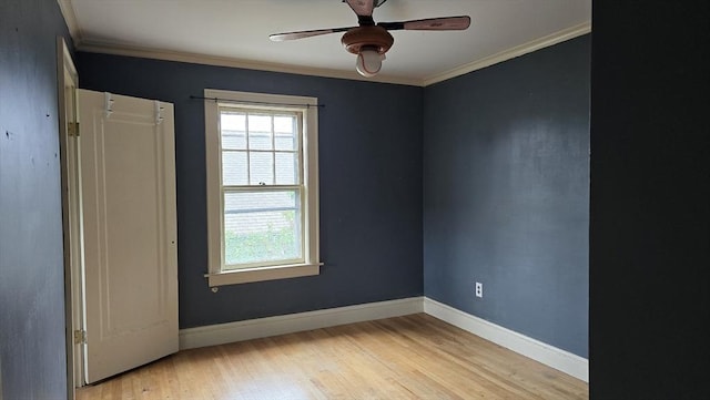 10 Arbutus Rd, Worcester, MA 01606 - spare room with healthy amount of natural light, light wood-style flooring, ceiling fan, baseboards, and crown molding