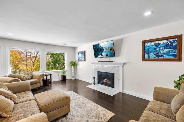 living room with a premium fireplace and dark hardwood / wood-style floors