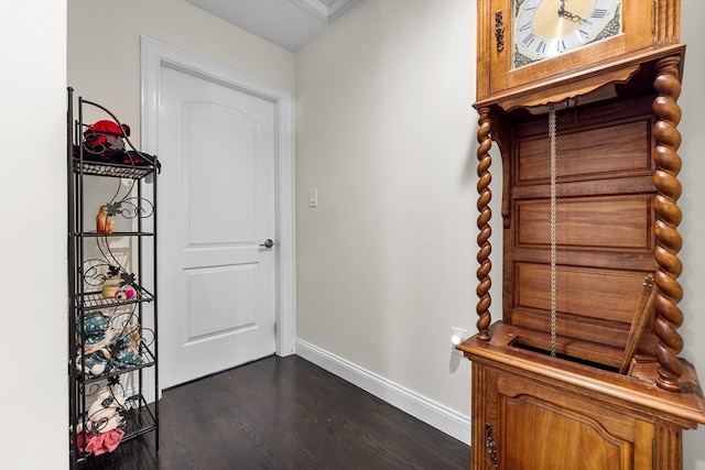 mudroom featuring dark hardwood / wood-style floors