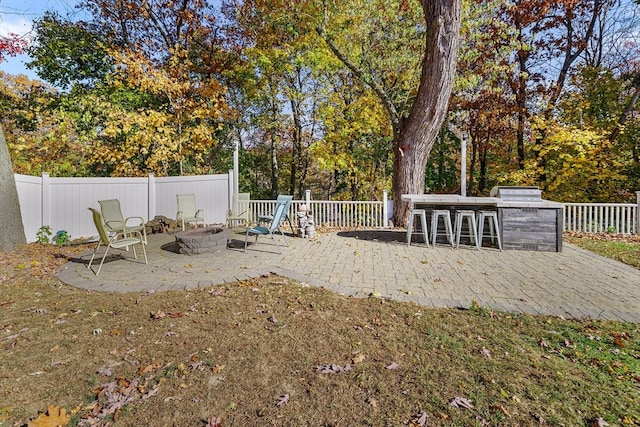 view of yard featuring a patio area