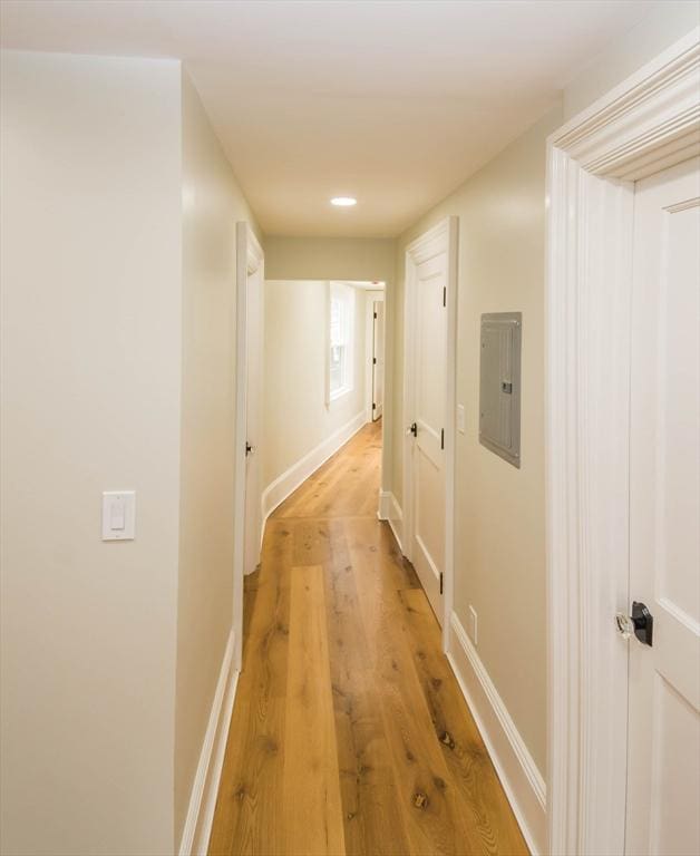 corridor with electric panel, baseboards, and light wood finished floors