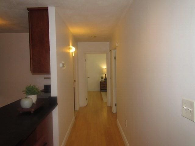 115 Highland Ave Unit 11, Somerville, MA 02143 - corridor with light wood-type flooring and baseboards