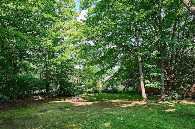 154 N Maple St, Northampton, MA 01062 - view of green lawn