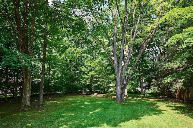 154 N Maple St, Northampton, MA 01062 - view of yard