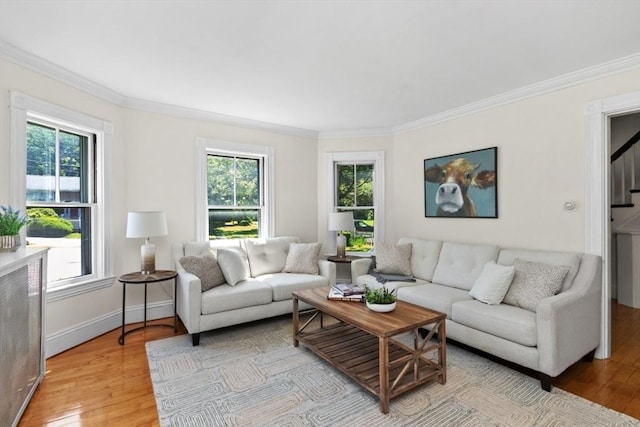 781 Highland Ave, Needham, MA 02494 - living room featuring light wood-style floors, plenty of natural light, crown molding, and baseboards