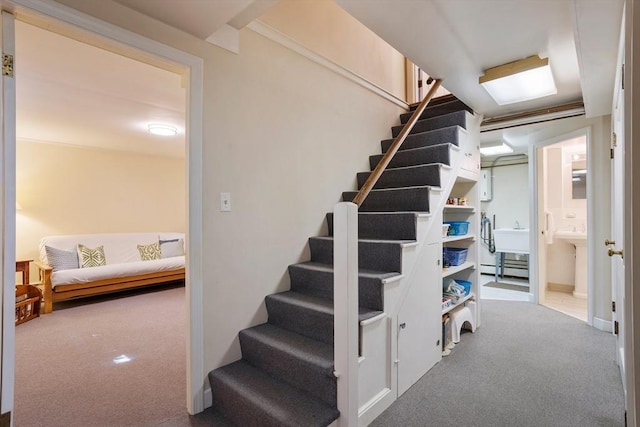 15 Thoreau Rd, Acton, MA 01720 - staircase featuring carpet flooring
