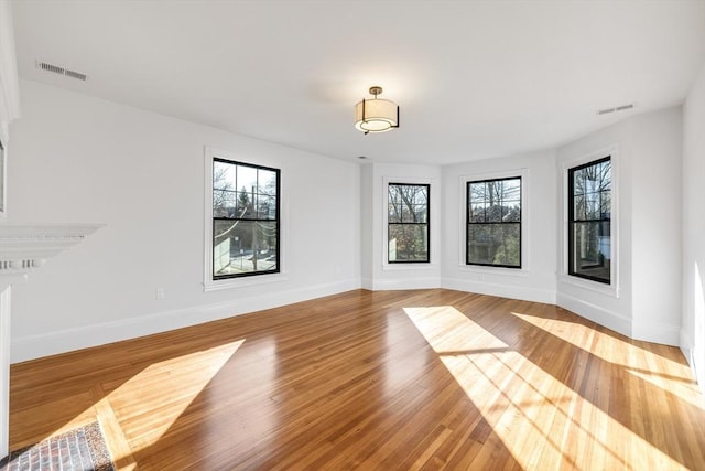 interior space featuring a wealth of natural light and wood-type flooring