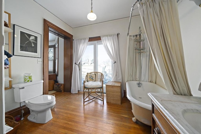 bathroom with hardwood / wood-style flooring, toilet, and vanity