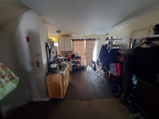 miscellaneous room featuring dark hardwood / wood-style floors