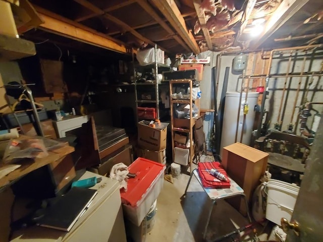 storage area featuring water heater