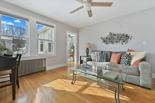 living room featuring hardwood / wood-style flooring, radiator heating unit, and ceiling fan