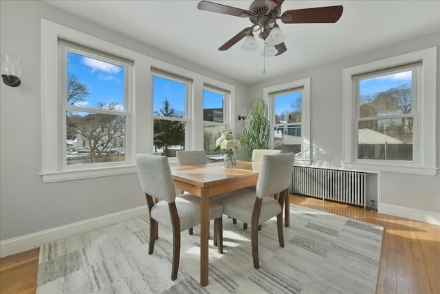 dining space with radiator and light hardwood / wood-style flooring