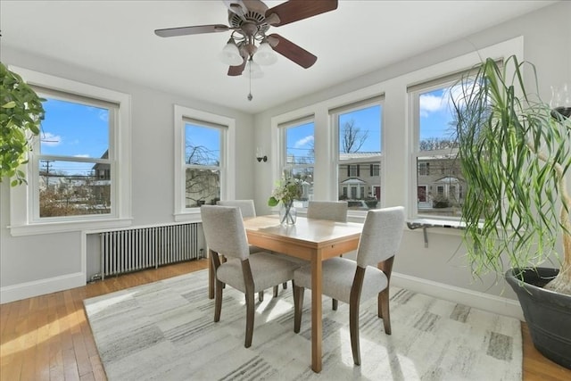 dining space with radiator heating unit and light hardwood / wood-style floors